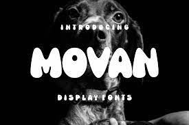 Movan Font preview